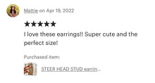 Load image into Gallery viewer, Steer Head Cowhead Cowhide Stud Earrings
