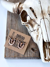 Load image into Gallery viewer, Western Style Horseshoe with Longhorn Skull Earrings
